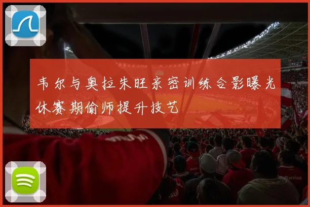 韦尔与奥拉朱旺亲密训练合影曝光休赛期偷师提升技艺