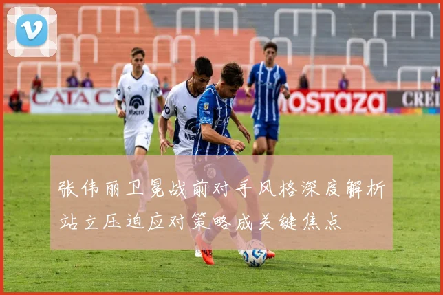 张伟丽卫冕战前对手风格深度解析站立压迫应对策略成关键焦点